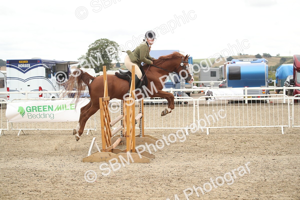 SBM_18374 - Class 509B - Working Veteran - 80cm (20+)