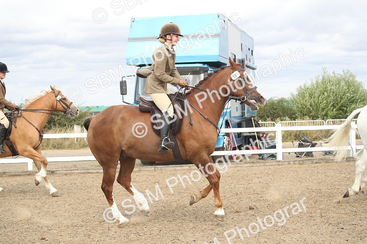 SBM_17813 - Class 508a - Working Veteran 70cm (15-19)