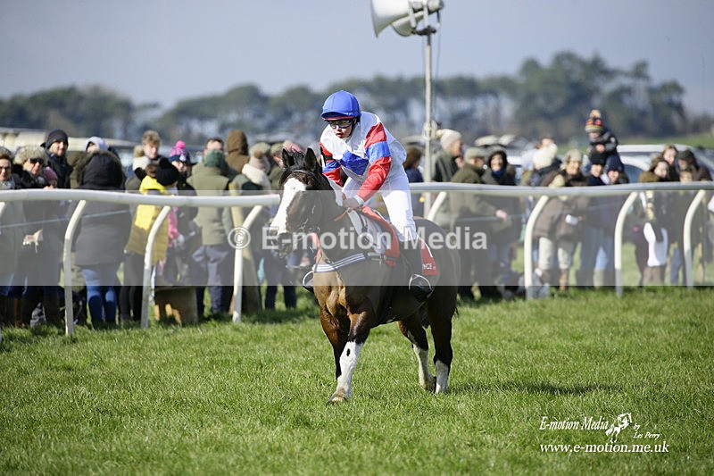 PtP 060322 106 - Blackmore & Sparkford Vale Hunt PtP 06/03/22