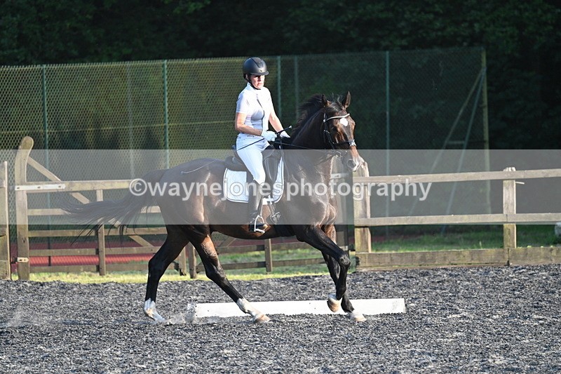 WJ7_0463 - Time 19:38 to 20:00