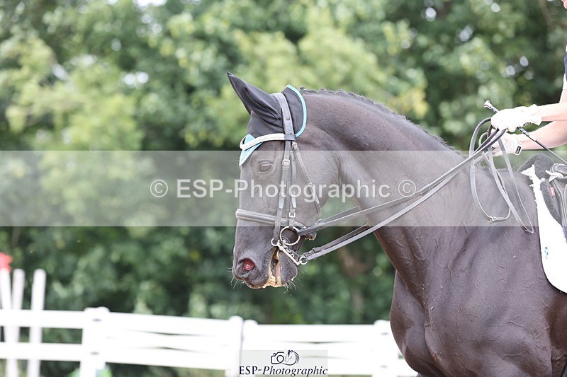 250620-112525-00663 - BD Cls 12 - Freestyle Medium