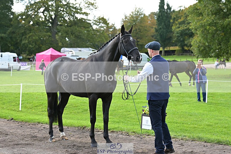 241023-132741-00305 - 058-Jack.Ashworth-TIMEPEICE.BLUE