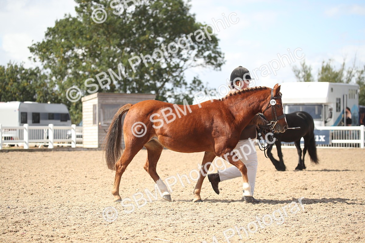 SBM_23112 - Class 606 - 2026 - Area - IH Pre Vet