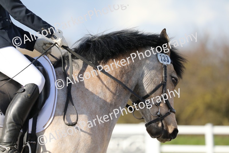 20260314-5831 - DR 7 - Elementary 1