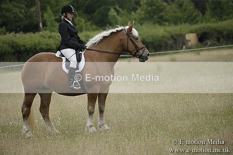B230619-0949 - Bourne Valley Riding Club Summer Show 23/06/19