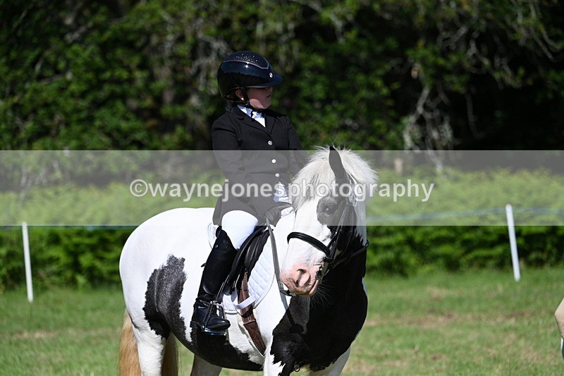 WJ7_0431 - Class 8 First Rally Pony