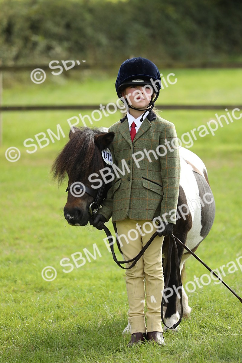 SBM_67831 - S39 - Junior Handler 8  Years & Under