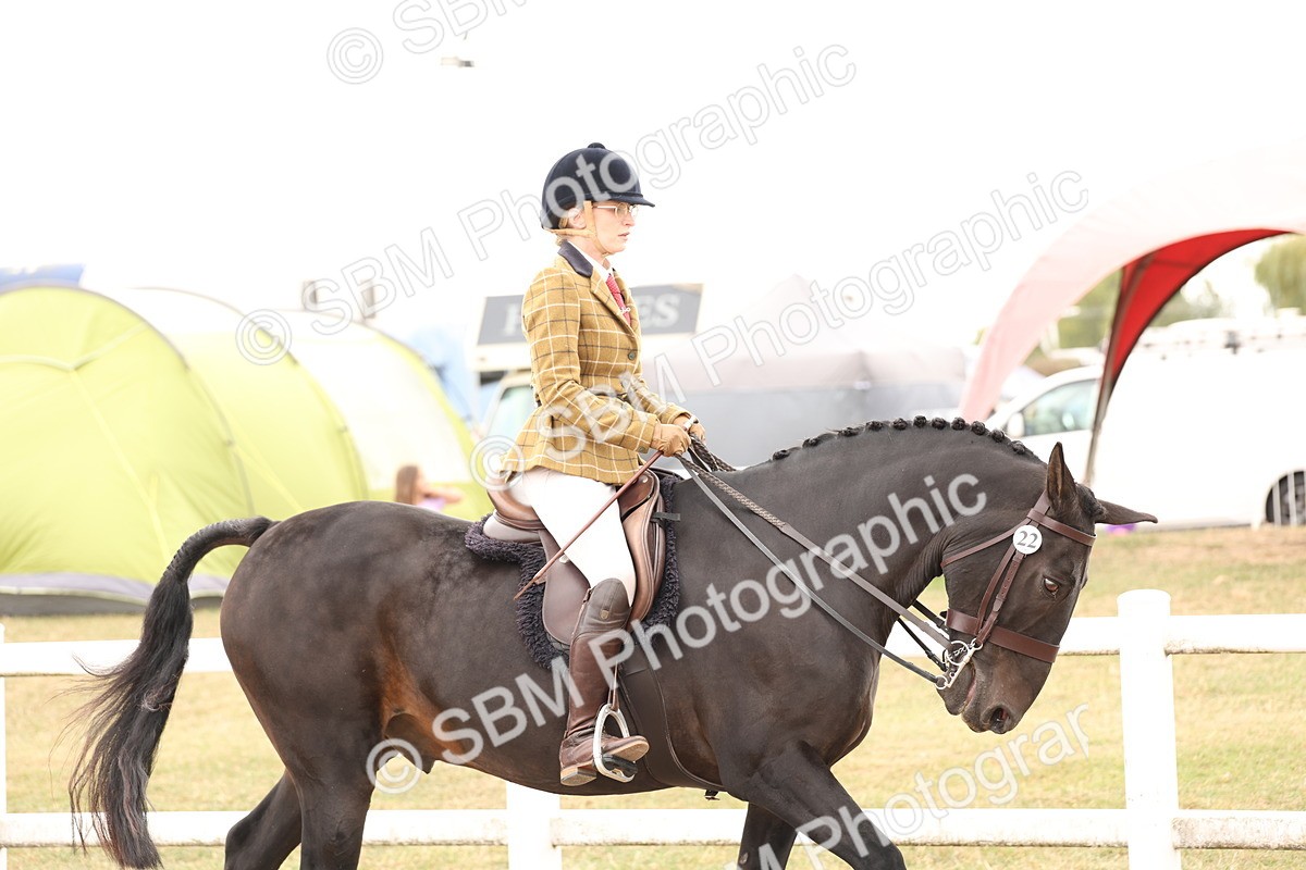 SBM_16457 - Class 212 - Ridden Hunter - Small