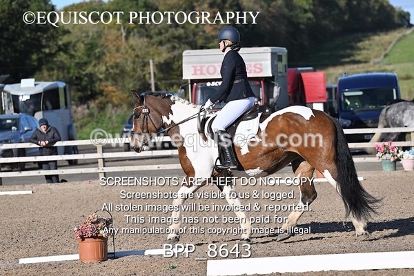 BPP_8643 - SHORT ARENA INTRO 3