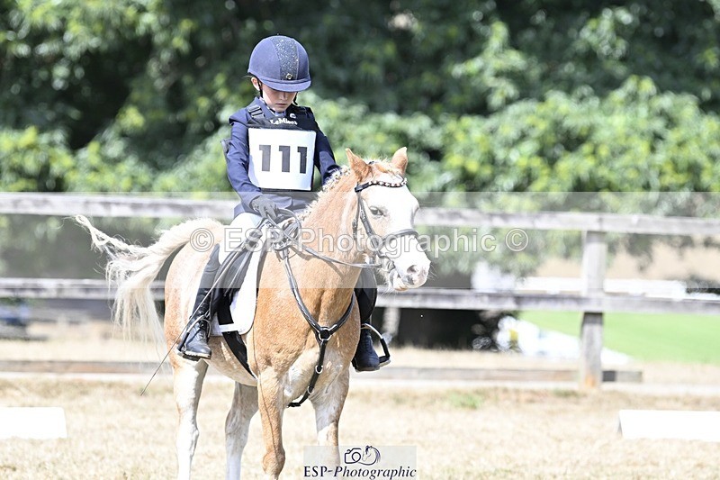 250821A-121229-15473 - DR 11.00 to 12.00