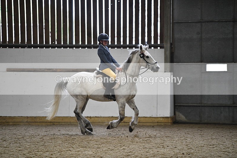 WJ5_7921 - Class 13 Ridden Part Breed