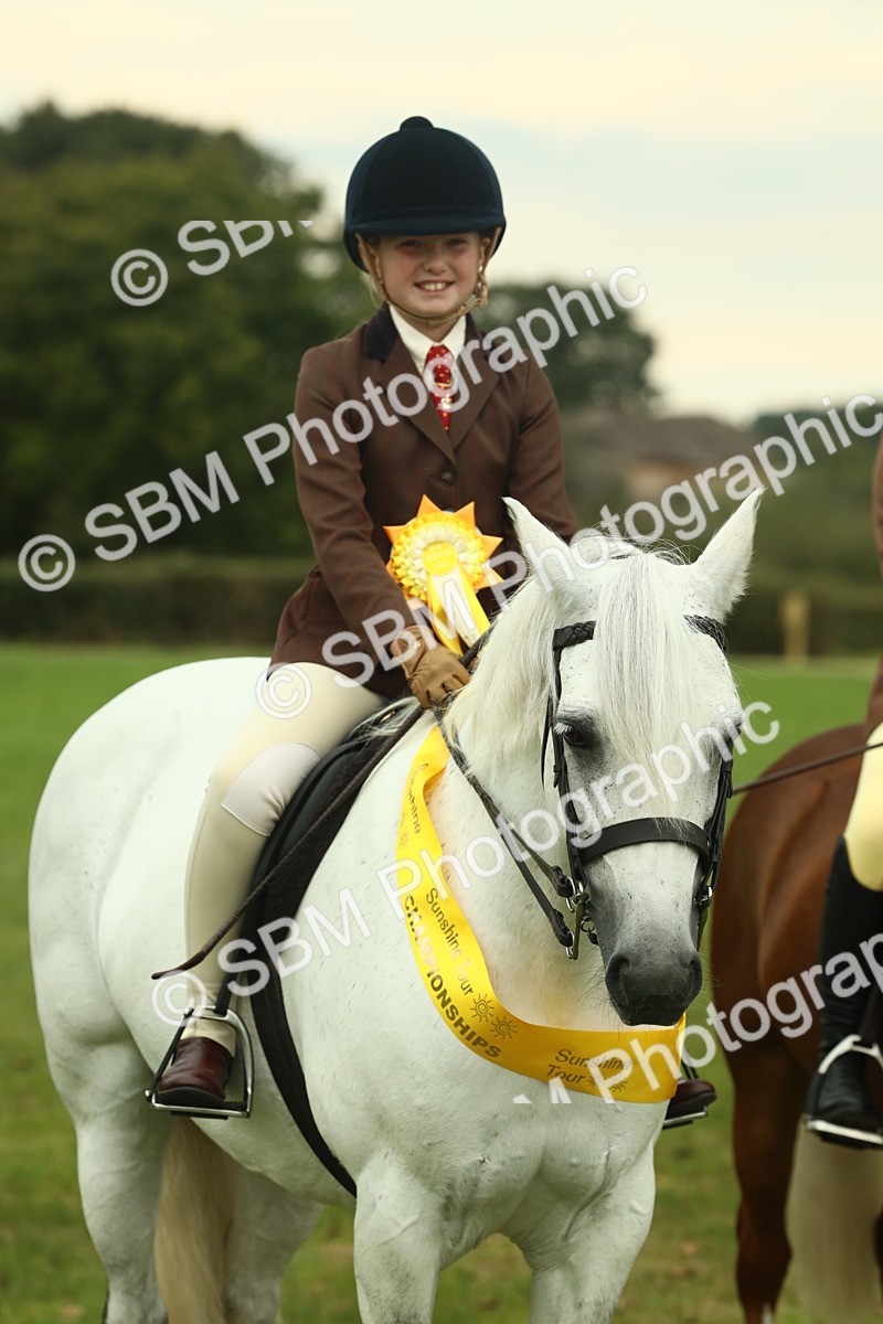 SBM_72309 - S60 - Mountain & Moorland Ridden Large Breeds