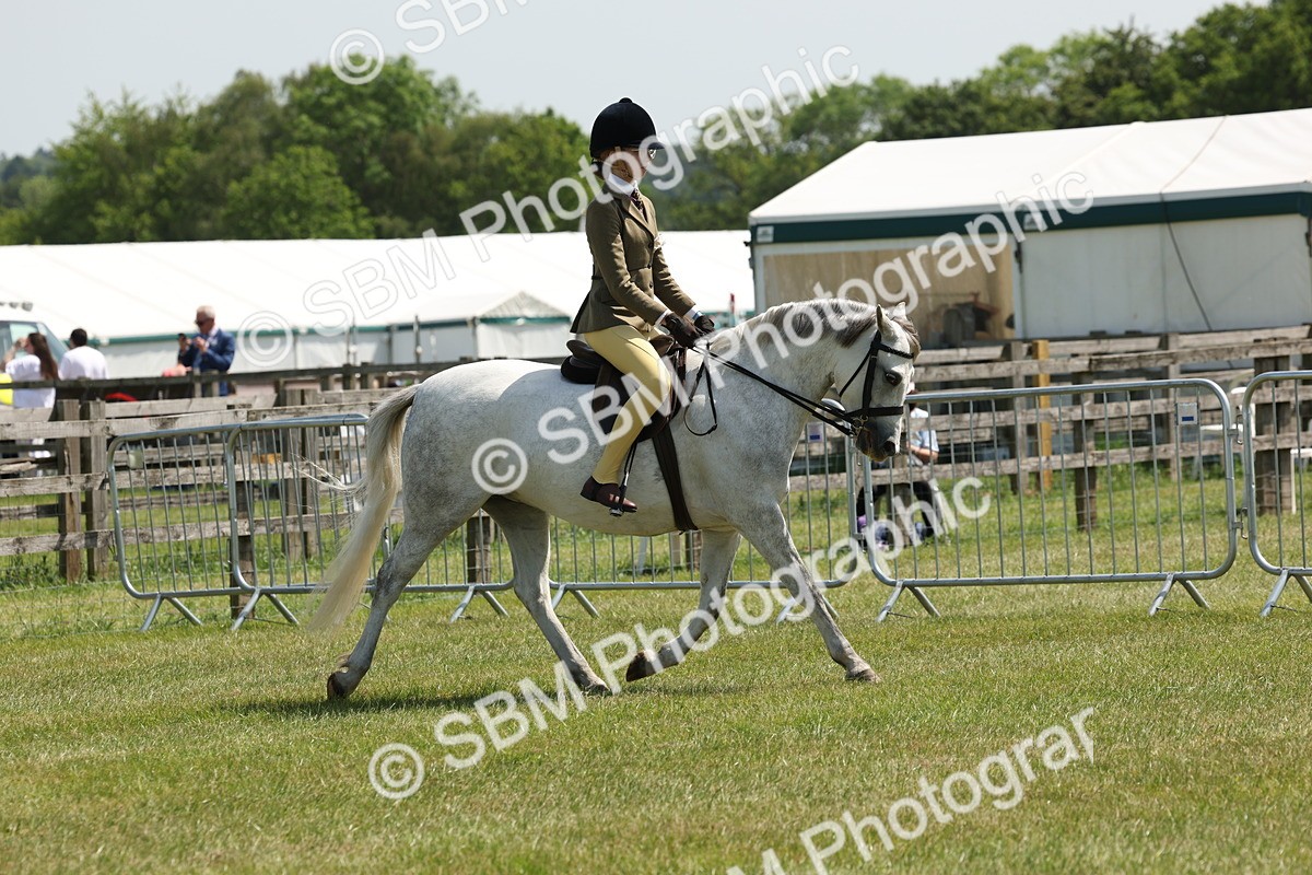SBM_06723 - Class 26-30 - Mountain and Moorland Ridden