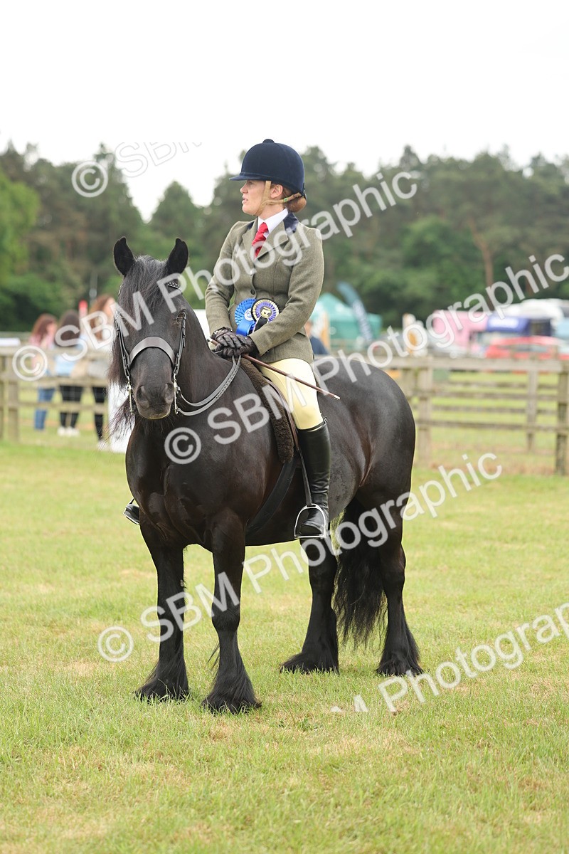 SBM_09042 - Class 78-80 - Ridden M&M Non Welsh Ponies