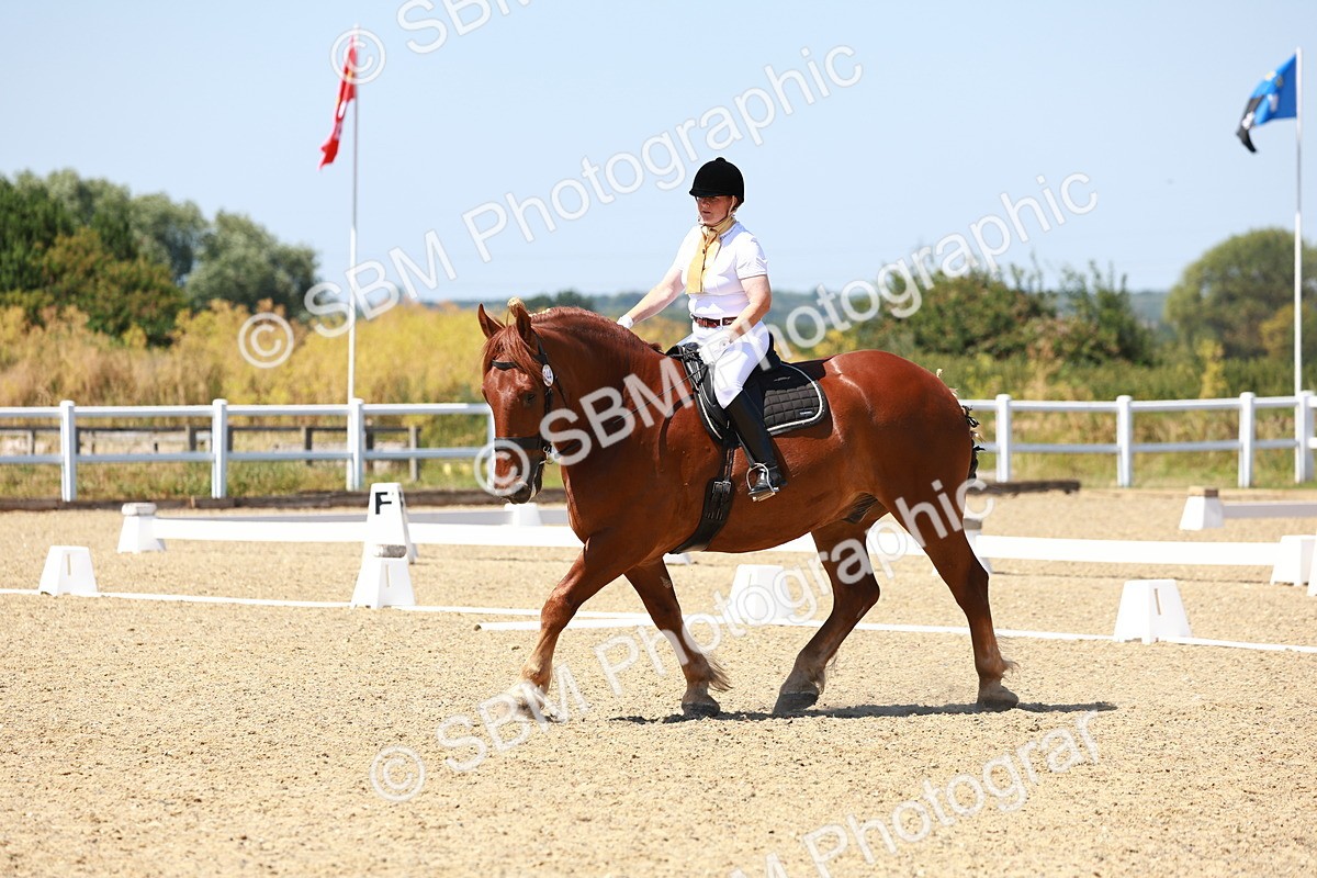 SBM_011808 - Intro 3 - 13.00-14.10