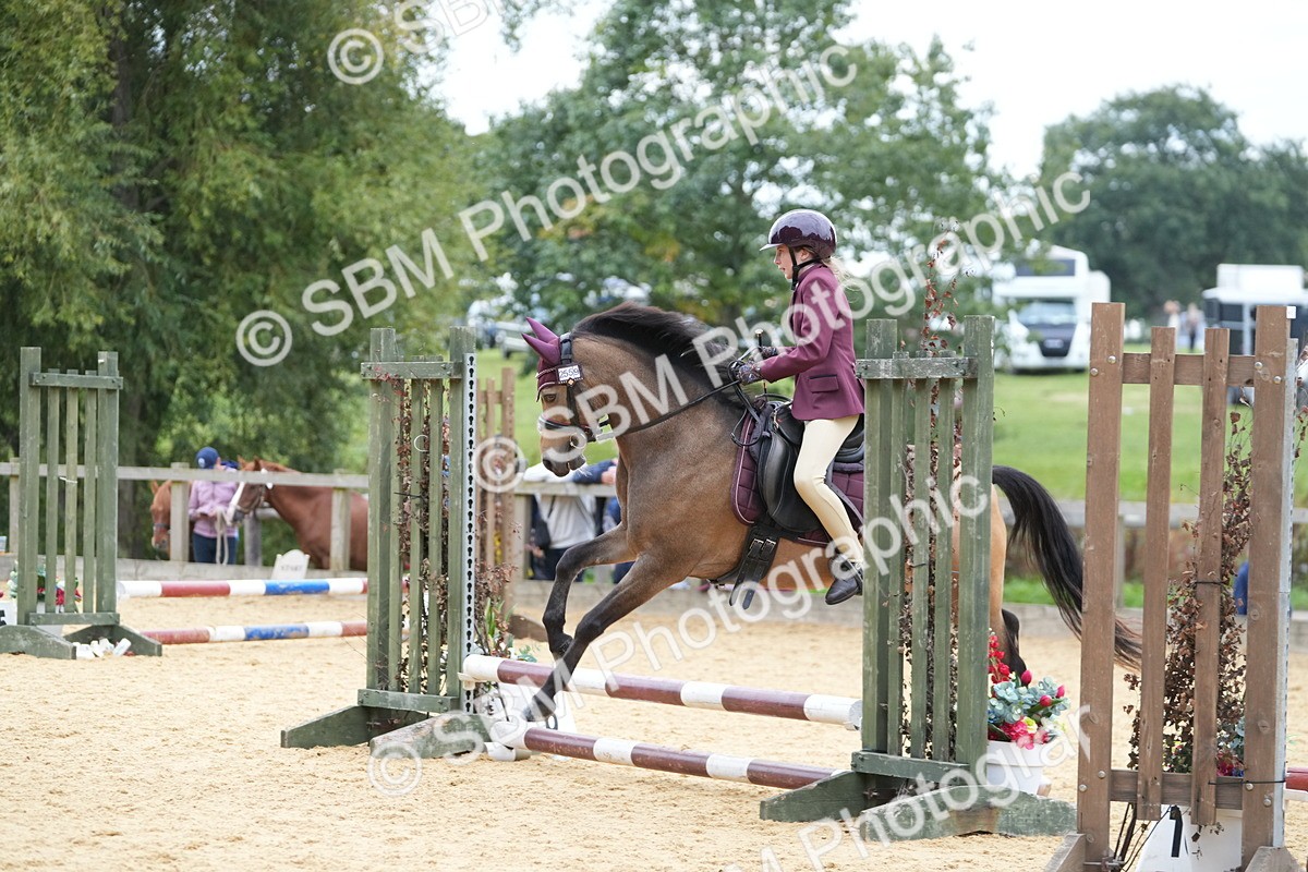 SBM_74830 - J4 - Mini Tour Junior Pony 45cm Championship