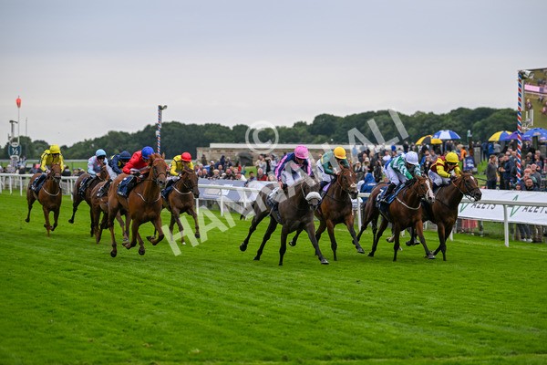 120724-Race 2-Flora Of Bermuda-5815 - Race 2 2.40pm William Hill Summer Stakes