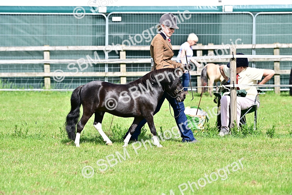 SBM_03411