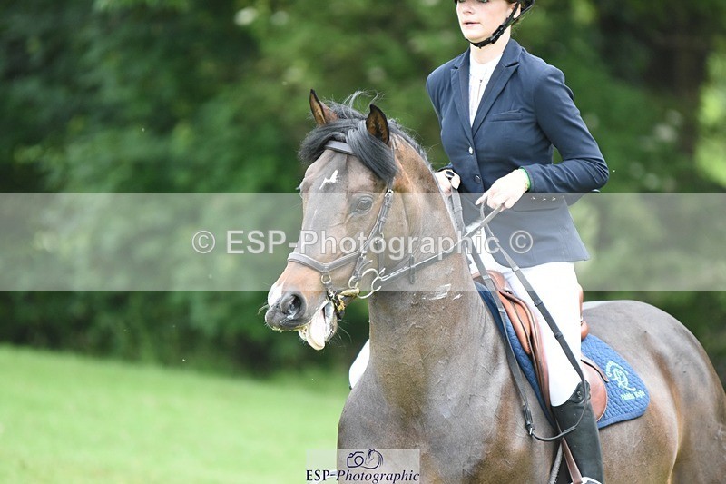 230617-094032-01627 - Cls 15 British Novice & 80cm Open