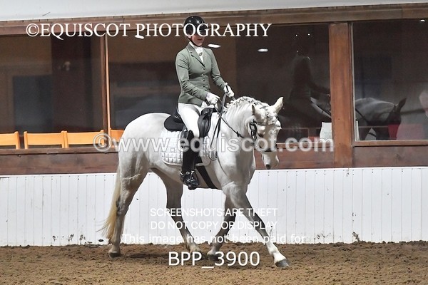 BPP_3900 - NOVICE 6
