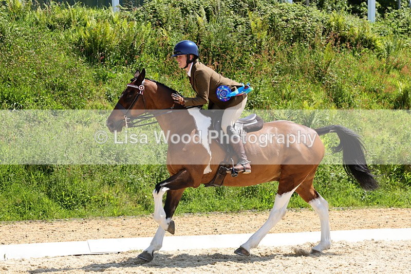 1X9A1933 - Class 12: Ridden Riding Horse/Hack
