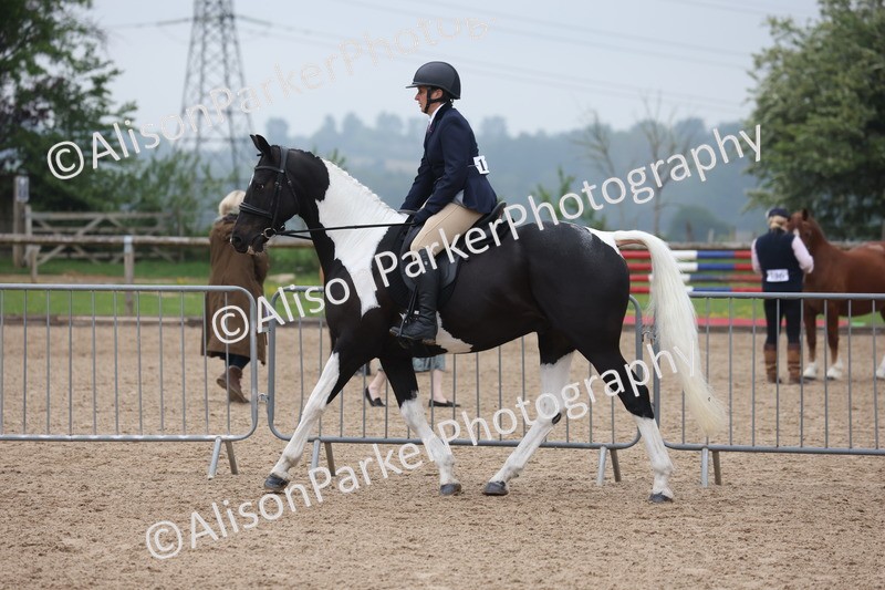 20260504-1040 - Class 14 - Cob and Hunter