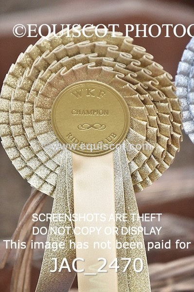 JAC_2470 - CLASS 3 Intermediate Working Hunter