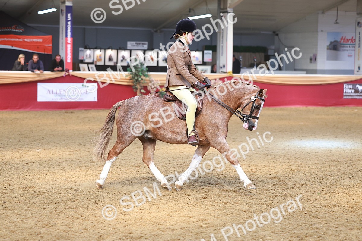 SBM_12511 - Class 103 - HOYS Veteran Qualifier - Ridden Pre Vet