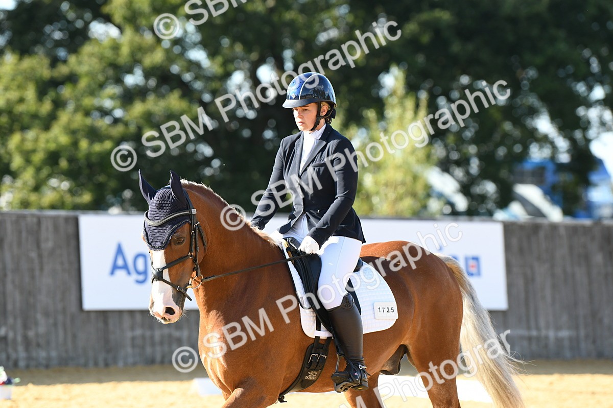 SBM_27297 - D16 - Small Tour Championship - Novice 28