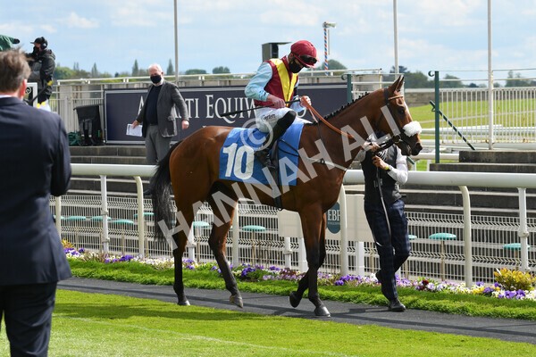 yr12052021r5-6 - Race 5 3.40pm Sky Bet Stakes