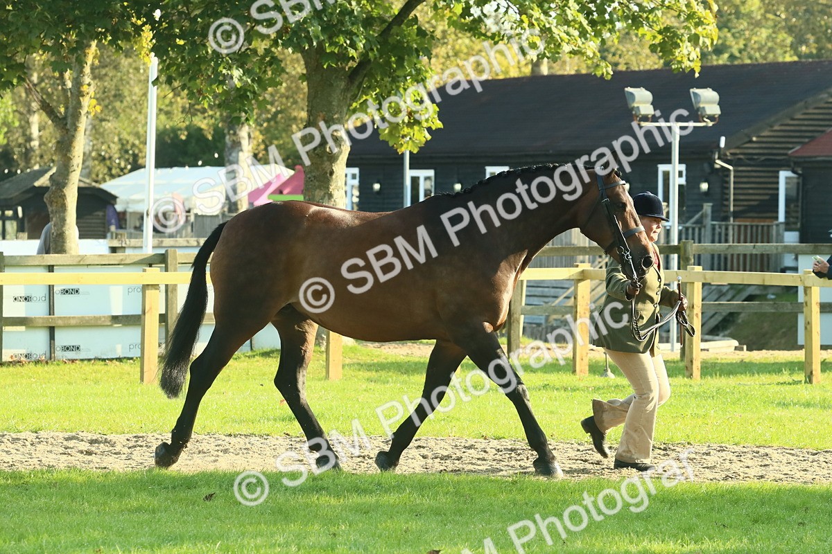 SBM_58567 - S37 - Starters In Hand Showing