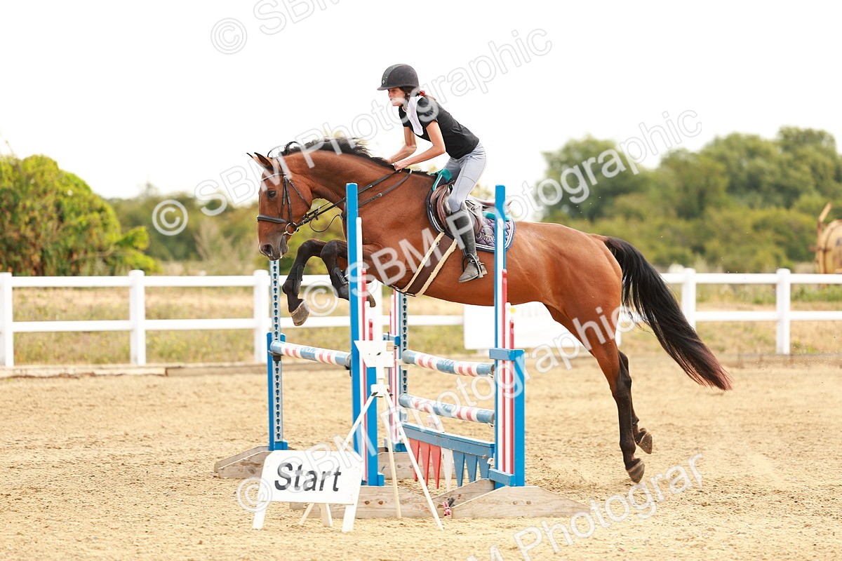 SBM_002287 - Class 9 - Senior British Novice - 90cm