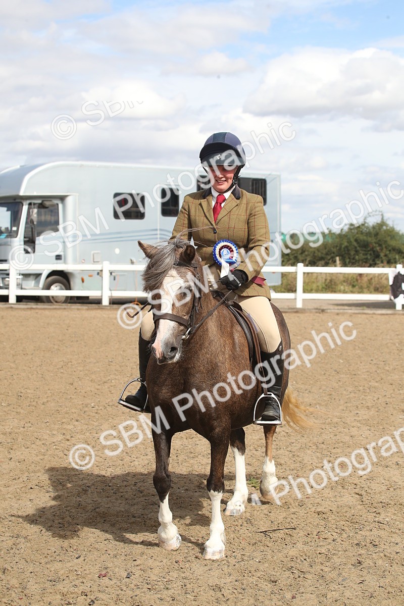 SBM_15185 - Class 505b - M&M Working Veteran - 50cm (20+)