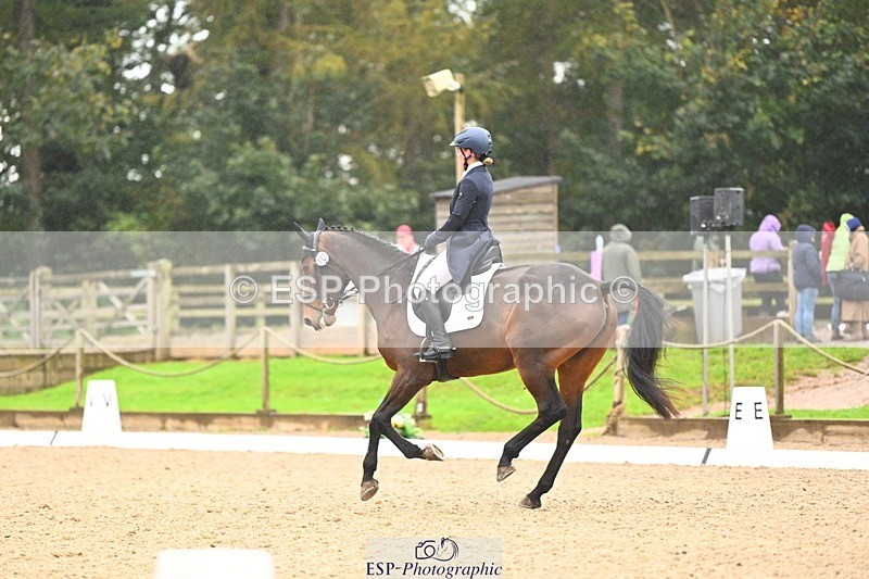 231021-121804-15110 - 347-SHANBEG.PANDORA-Alice.Gates-DR