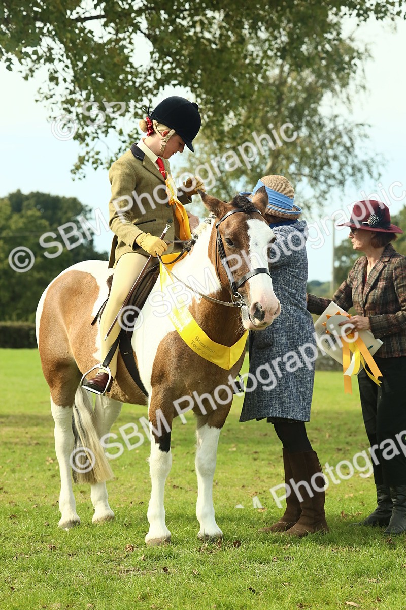 SBM_68135 - S57 - Part Bred Pony Ridden