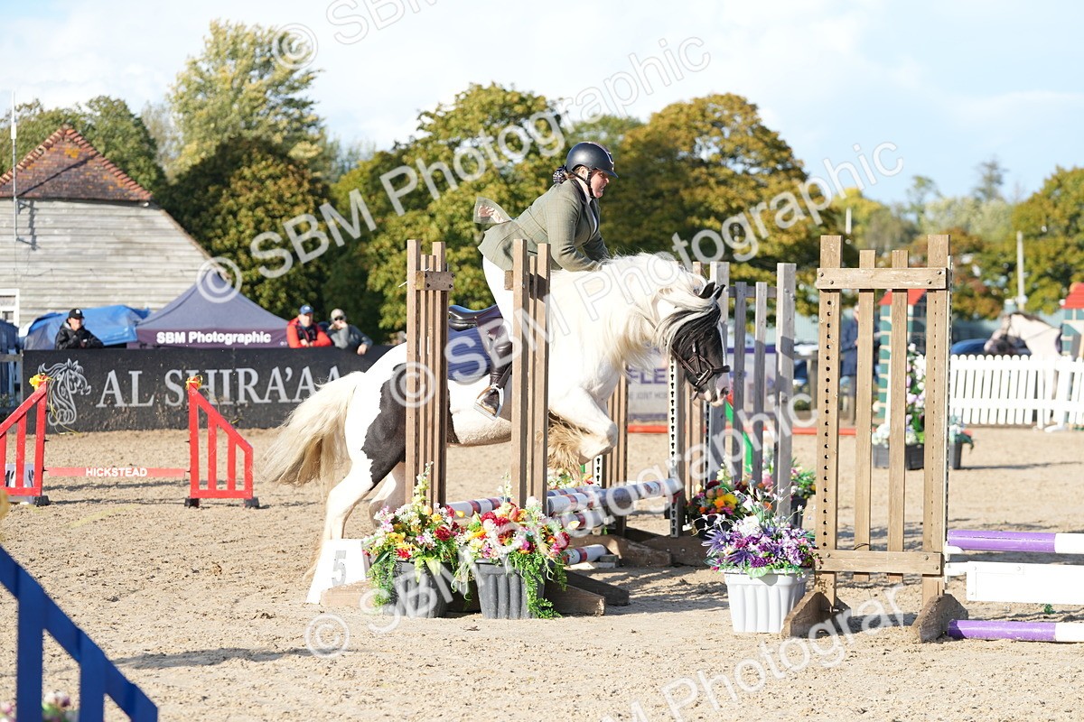 SBM_28973 - J43 - Horse & Hound Open 50cm