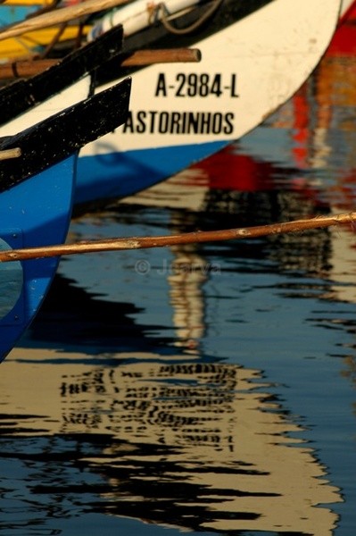 Torinhos - Moliceiros
