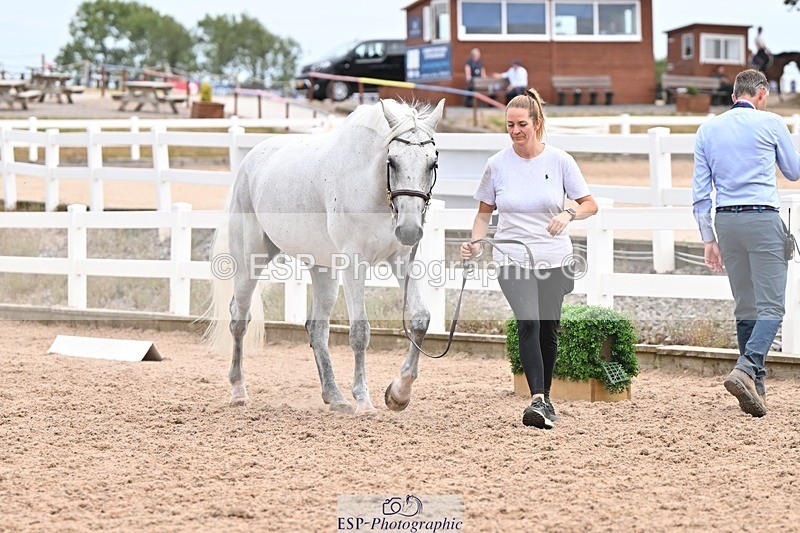 250716-152259-01897 - Trot Up 2.30 to 3.30