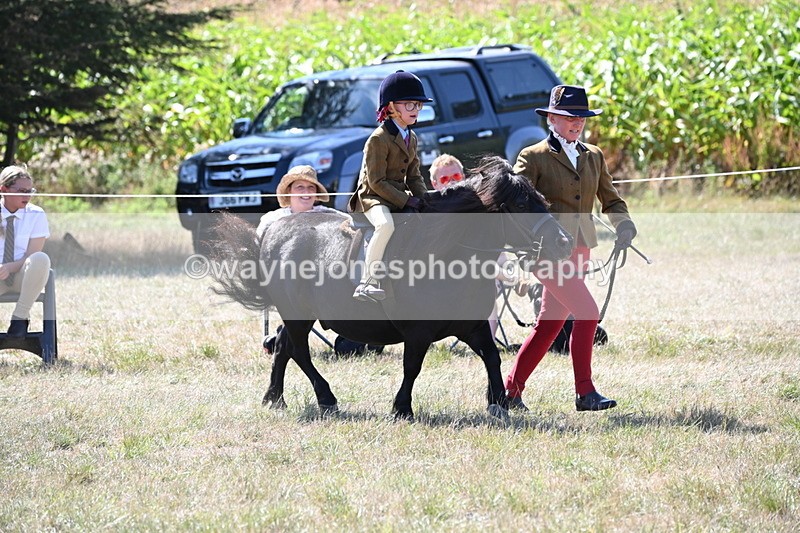 WJ6_8084 - Class 36 Lead Rein