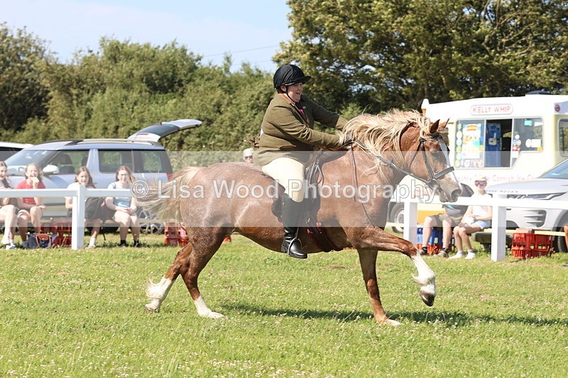 JPP_2091 - Cornish Combination Championship