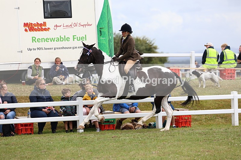 3E7A1034 - Class 8: Open Riding Horse/Hack