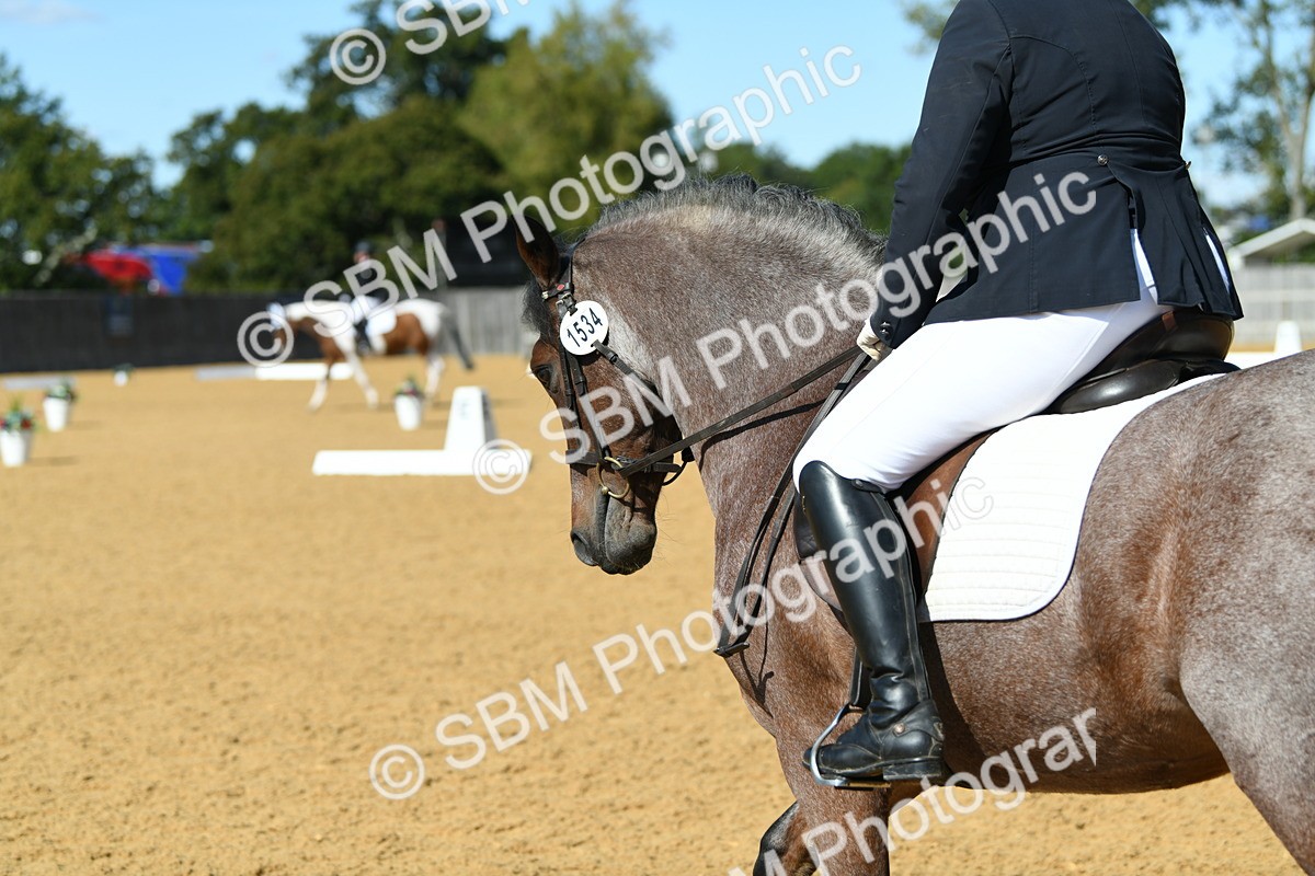 SBM_24733 - D13 - Grand Tour Championship - Prelim 12