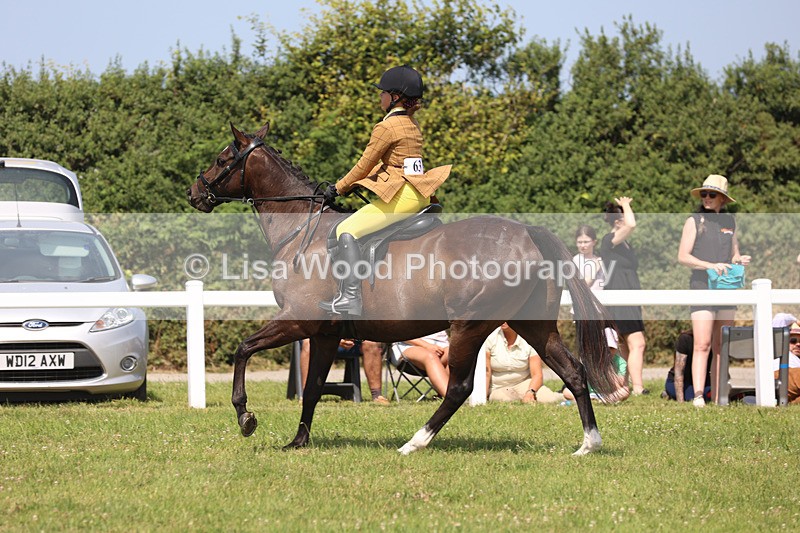 JPP_3277 - Class 22: Working Hunter 70cm