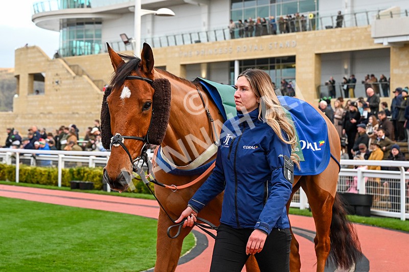 141224-Race 5-Triple Trade-0782 - Race 5