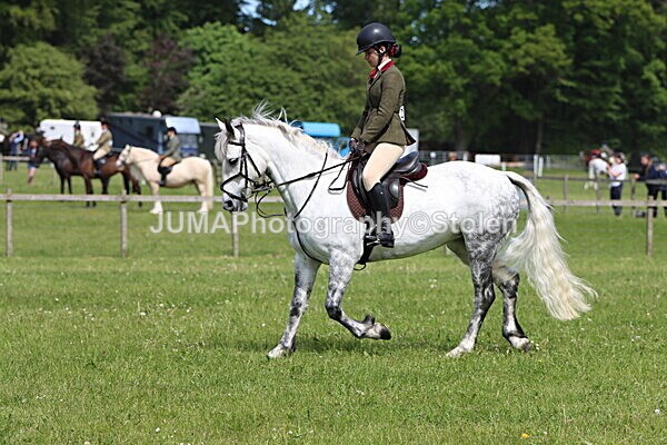 IMG_3408 - Working Hunter