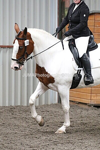 SIAL4811 - CAbin Dressage 5th july 2025