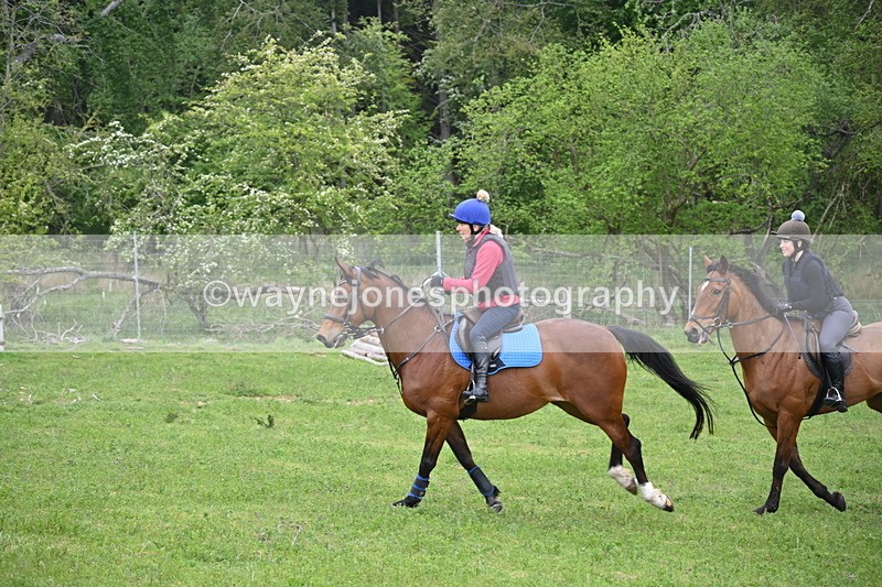 WJ6_2476 - A Camera