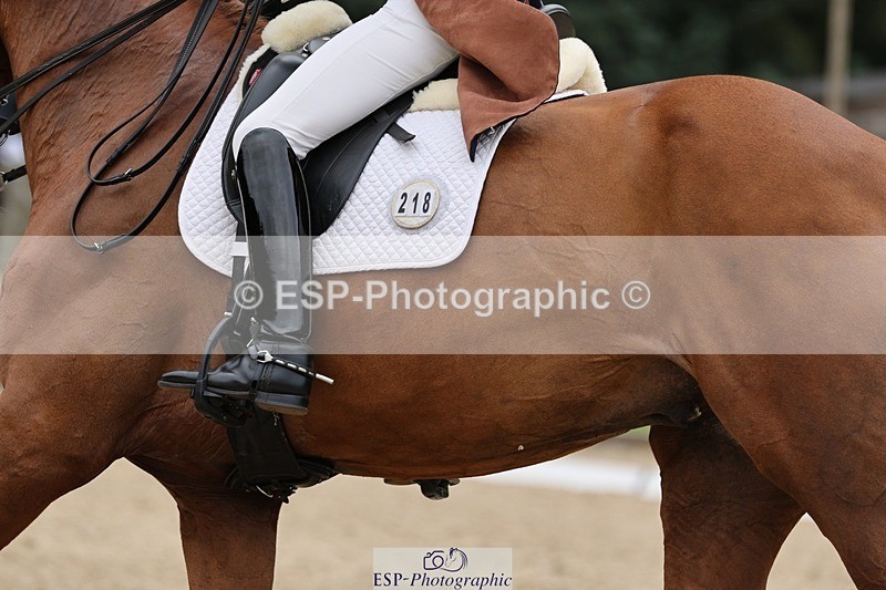 240810-161002-04337 - 219-Alice.Peternell-Insanity