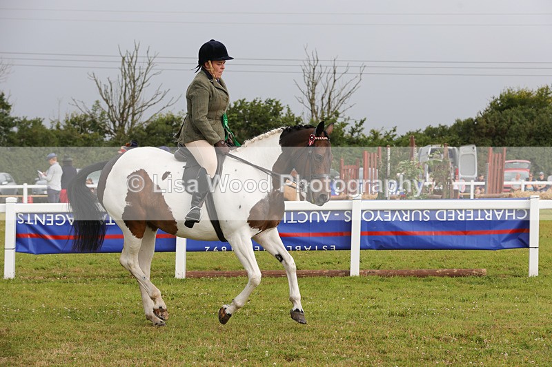 1X9A2971 - Class 25: Ridden Plaited Coloured Horse
