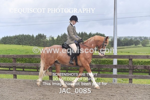JAC_0085 - CHAMPIONSHIPS AND SUPREME